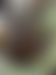 Por que uma “semana de 4 dias” pode ser melhor para sua empresa?