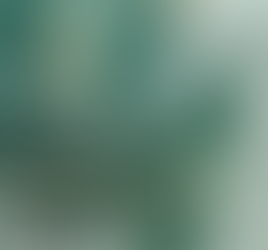 Ferramentas de assessment, você já conhece todas elas?