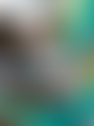 Líderes que inspiram e expiram