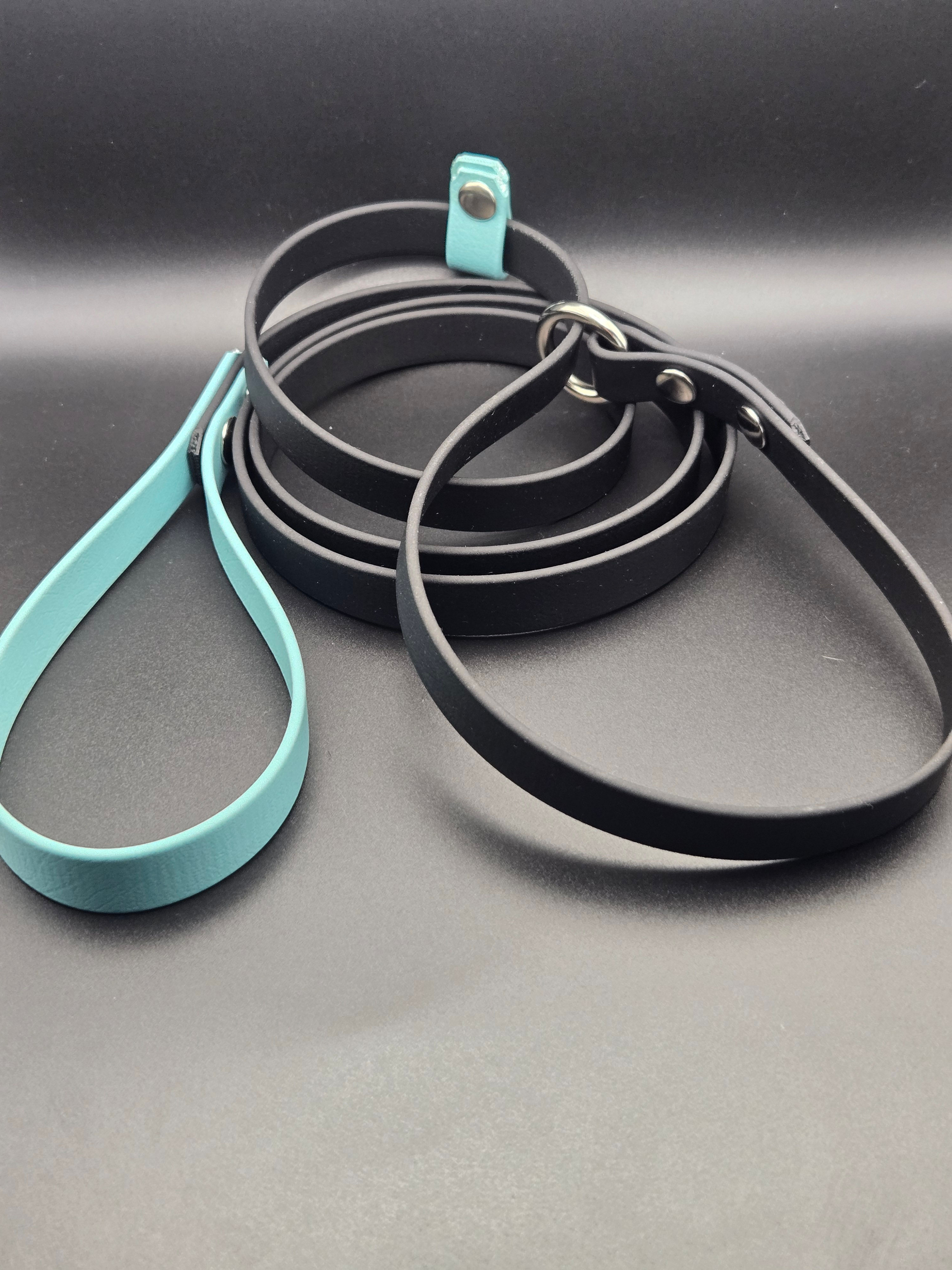 laisse coulissante/lasso 5/8po - black et turquoise 