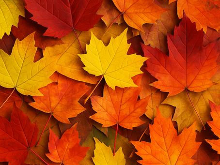 Why Play-Based Learning Works