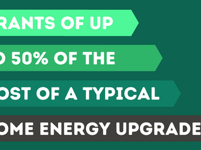 Press Release: Green Party Announce Biggest Home Energy Upgrade Scheme