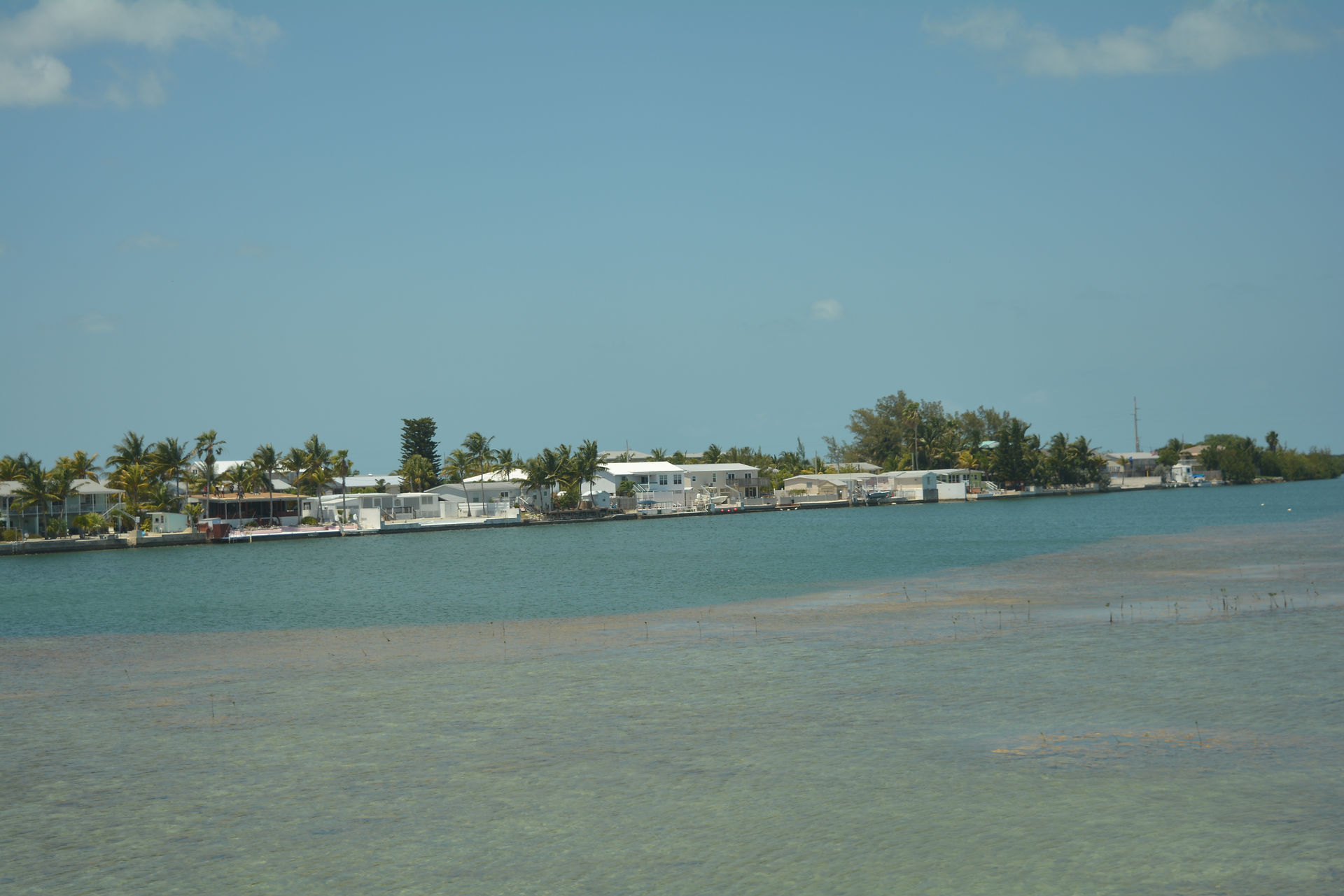 DSC_0722