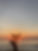 102261466_10218133217864075_696035410830735278_n.jpg