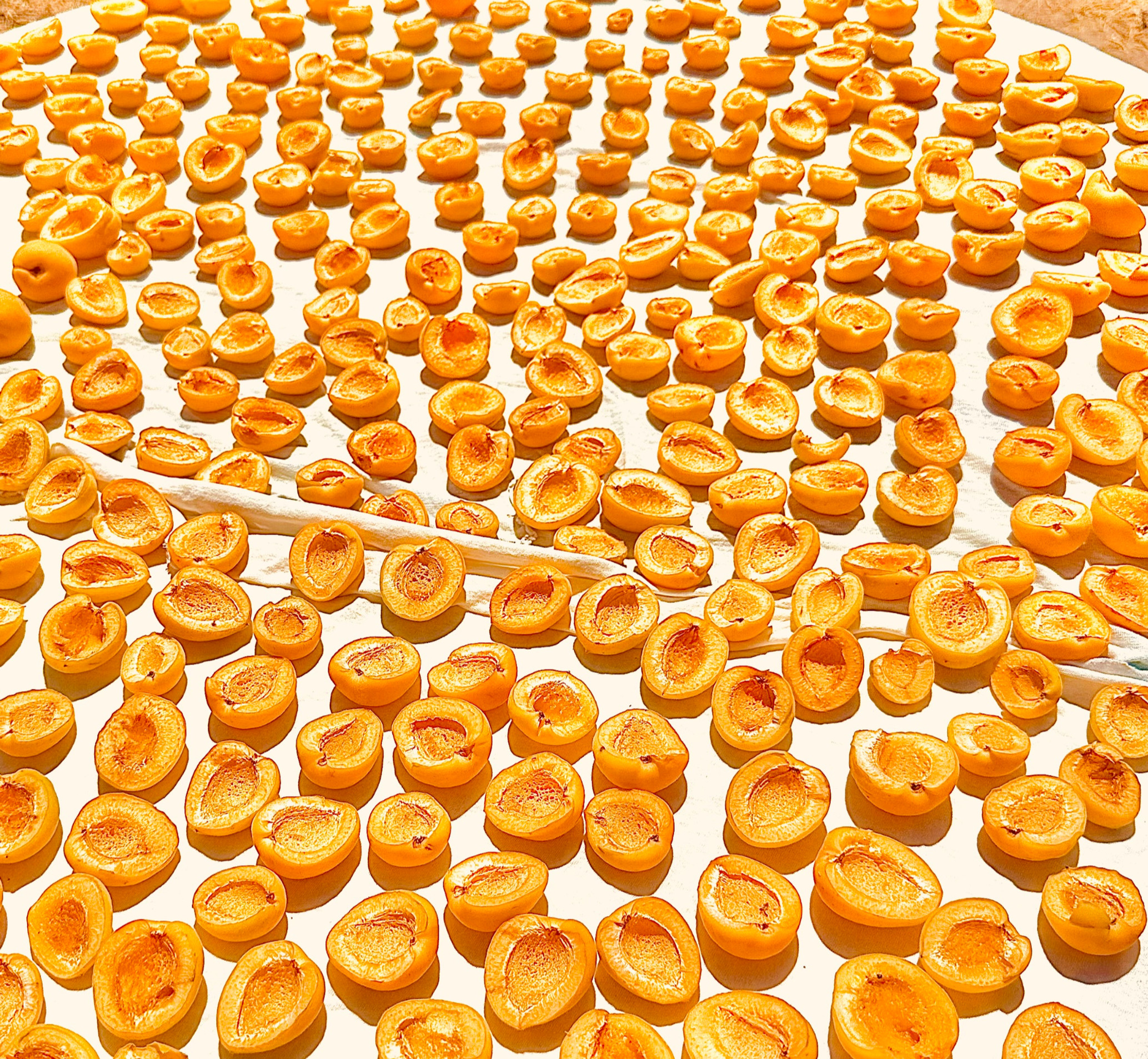 Kuru Kayısı.100gr