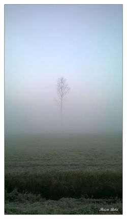 WP_20151126_07_31_37_Pro1200