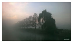 WP_20151111_07_20_32_Promod