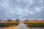 8D5A6259.jpg
