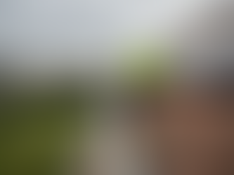 Pose de panneaux solaires sur le toit de votre maison