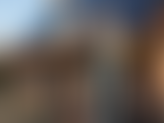 Een huiseigenaar bekijkt de zonnepanelen op het dak om te controleren of alles nog goed werkt.