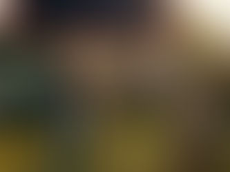 Benelux homeowner inspects solar panels