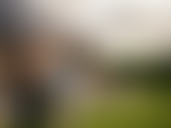 Benelux homeowners review rooftop solar panels