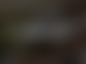 Een installateur plaatst zonnepanelen op het dak van een Belgische woning.