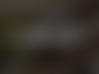 Een installateur plaatst zonnepanelen op het dak van een Belgische woning.