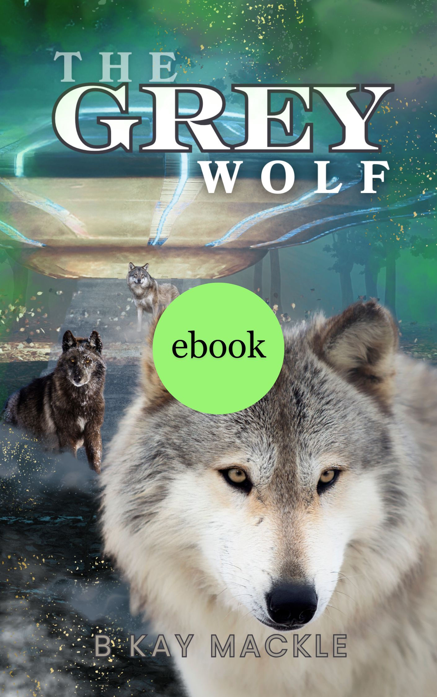 The Grey Wolf - ebook