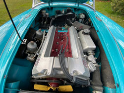 GB8+5T8eTO+GDMfC446wCg