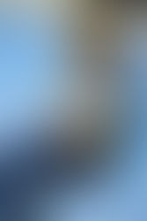 Rough Enough Mini Jacket Earbud Case: Where Playful Meets Practical