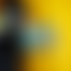 A Thoughtful Christmas Gift for Teens: The Wallet That Grows With Them