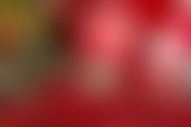 The Rough Enough Promise: Building Gifts That Last