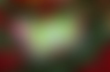 The Stocking Stuffer That Means Business: A Durable Wallet for Kids