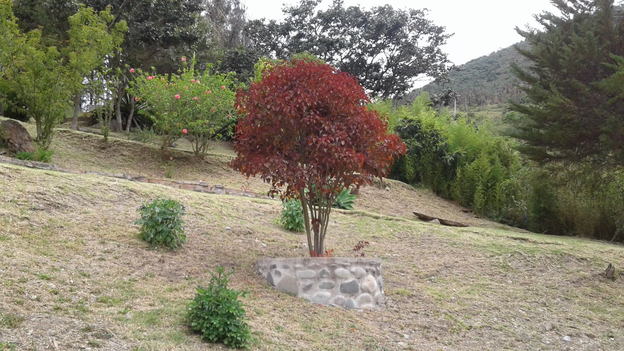 Home for Sale in Paute (Uzhupud) Abundant Living Ecuador