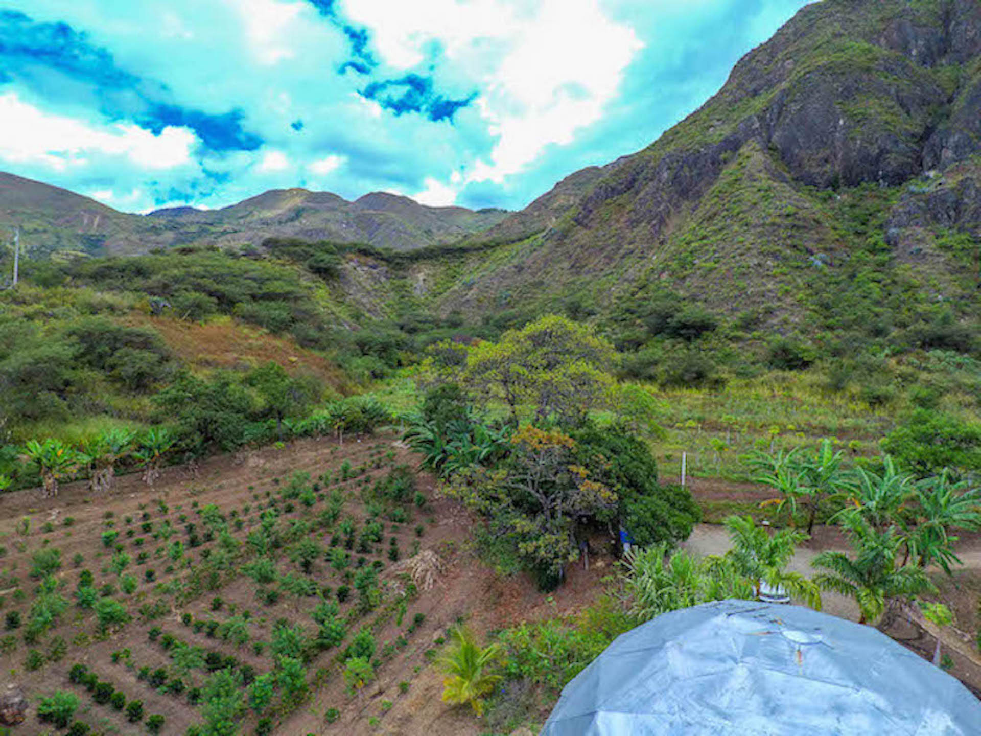 Organic Farm on 8 Hectares Land For Sale in Ecuador