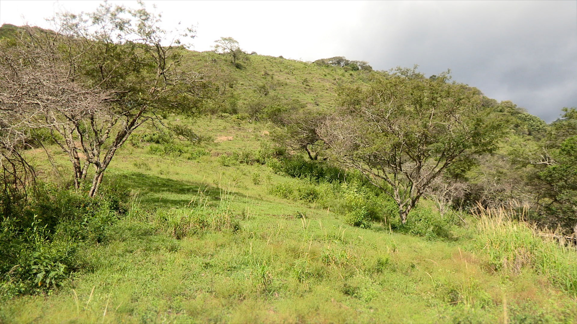 El Tambo Abundant Living Ecuador AB ECUADOR