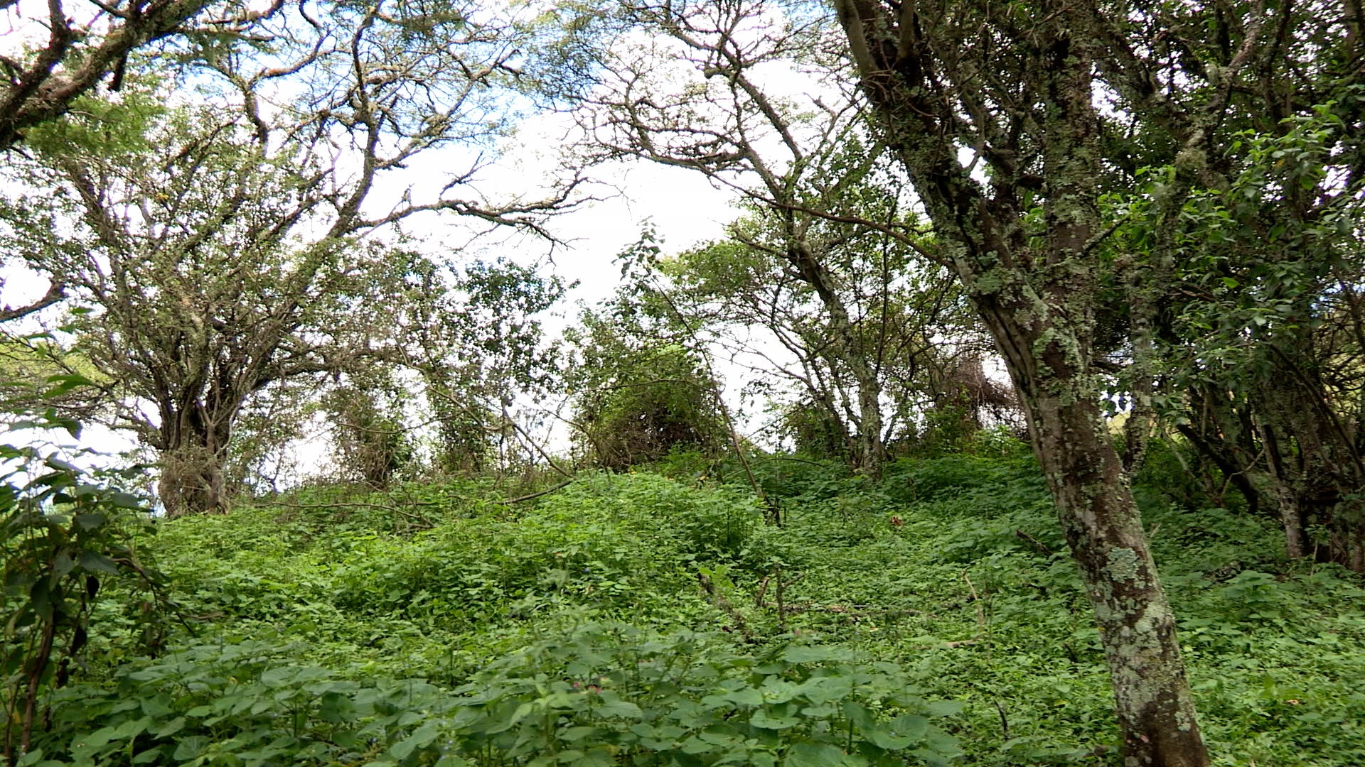 El Tambo Abundant Living Ecuador AB ECUADOR