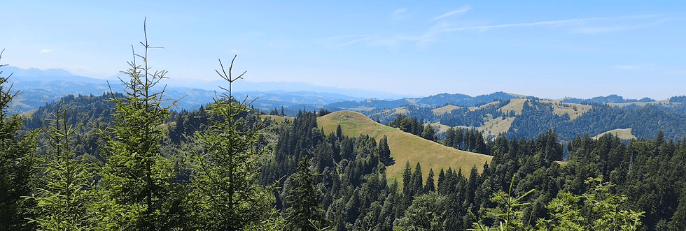 Banner_Sommer.gif