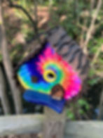 Thumbnail: Funky Tie die Bird House