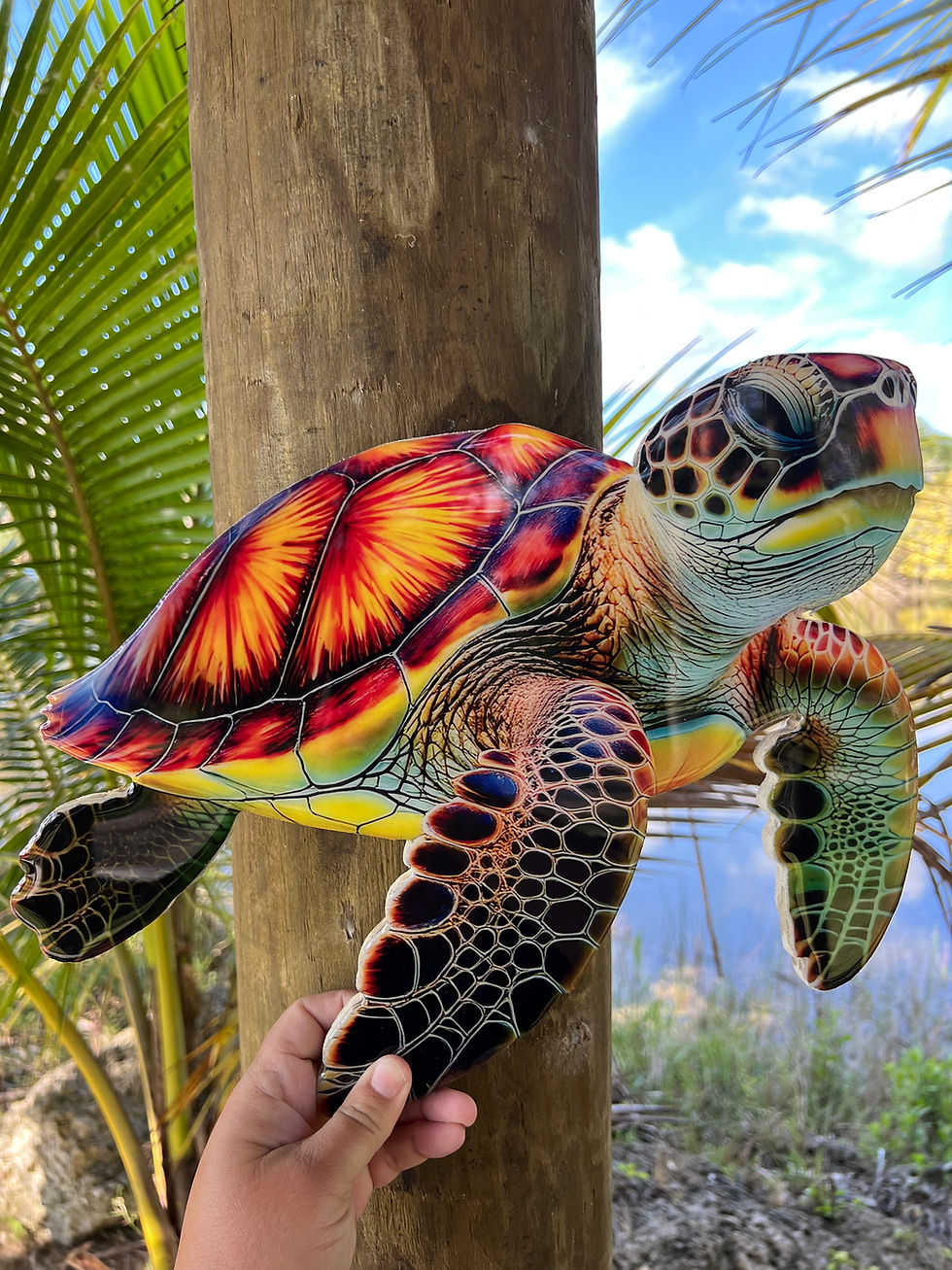 Thumbnail: Bright Color Sea Turtle