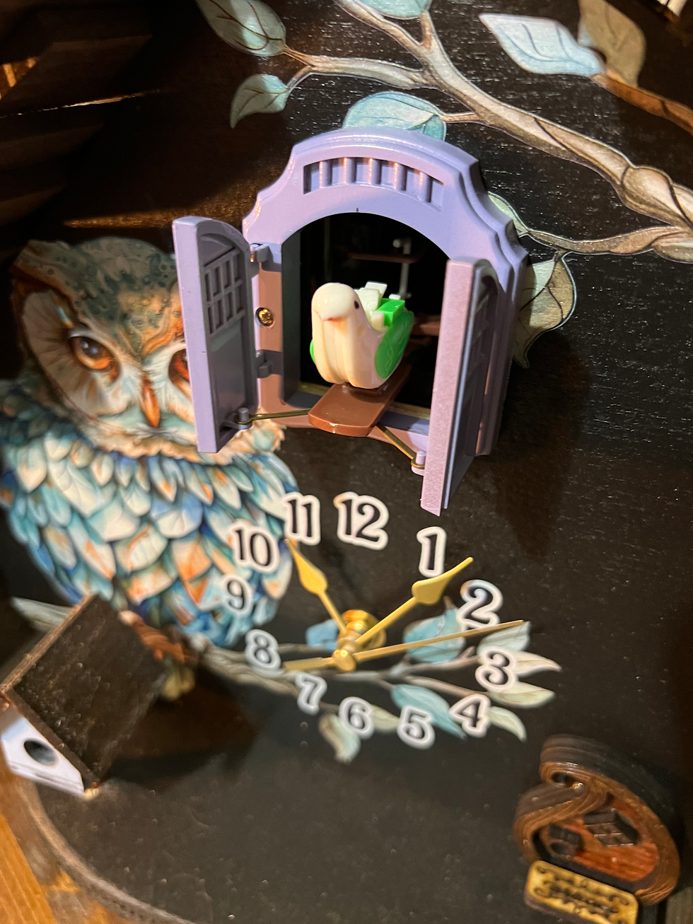 Thumbnail: Owl Cuckoo