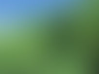 第38回 (2006年05月)「保険診療と自費治療 その2」