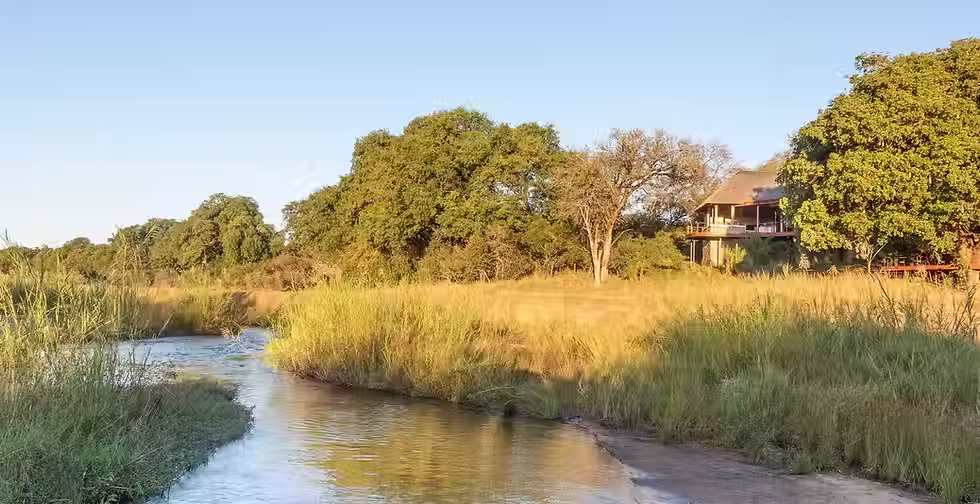 Exterior view of Dulini River Lodge surrounded by trees in Sabi Sand Private Game Reserve, offering a luxury South African safari experience.
