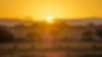 Golden sunset over the Masai Mara with grazing wildlife – an iconic landscape view on a luxury African photo safari in Kenya.