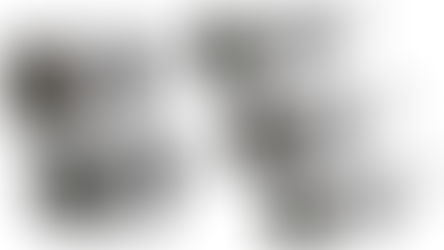 Your Guide to Telephoto Lenses for Epic African Photographic Safaris