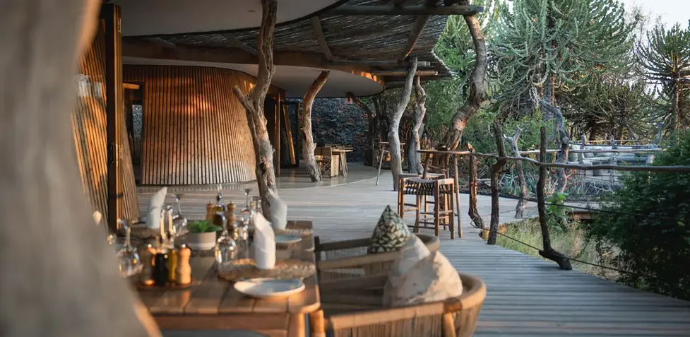 Mashatu Safaris in Botswana. Photo safaris and luxury accommodations in Africa.