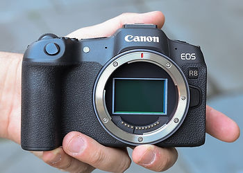 Canon_EOS_R8_sensor.jpeg