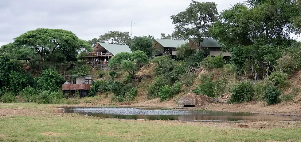 Kavinga Safari Camp overlooking a waterhole in the heart of Mana Pools National Park, Zimbabwe, surrounded by lush greenery and elevated tents ideal for luxury wildlife viewing and authentic African safari experiences.