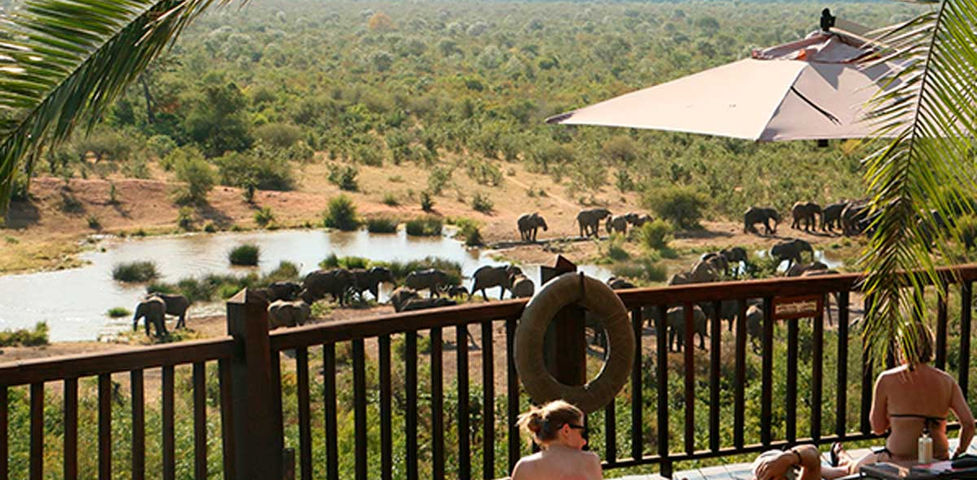 People enjoying a chill moment on a deck by the river, surrounded by the beauty of Victoria Falls Safari Lodge.
