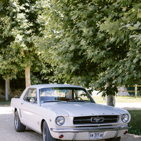 French-American Wedding