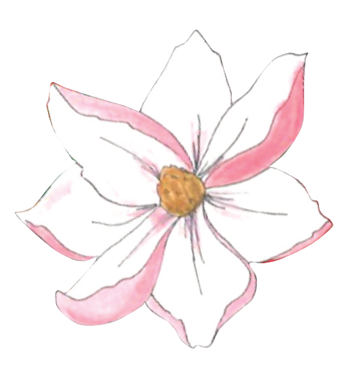How To Create A Transparent Background Using Affinity How To Create A Transparent Background Using Affinity