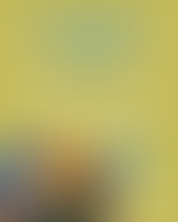 Into the Wild: A Zootastic Dance Adventure