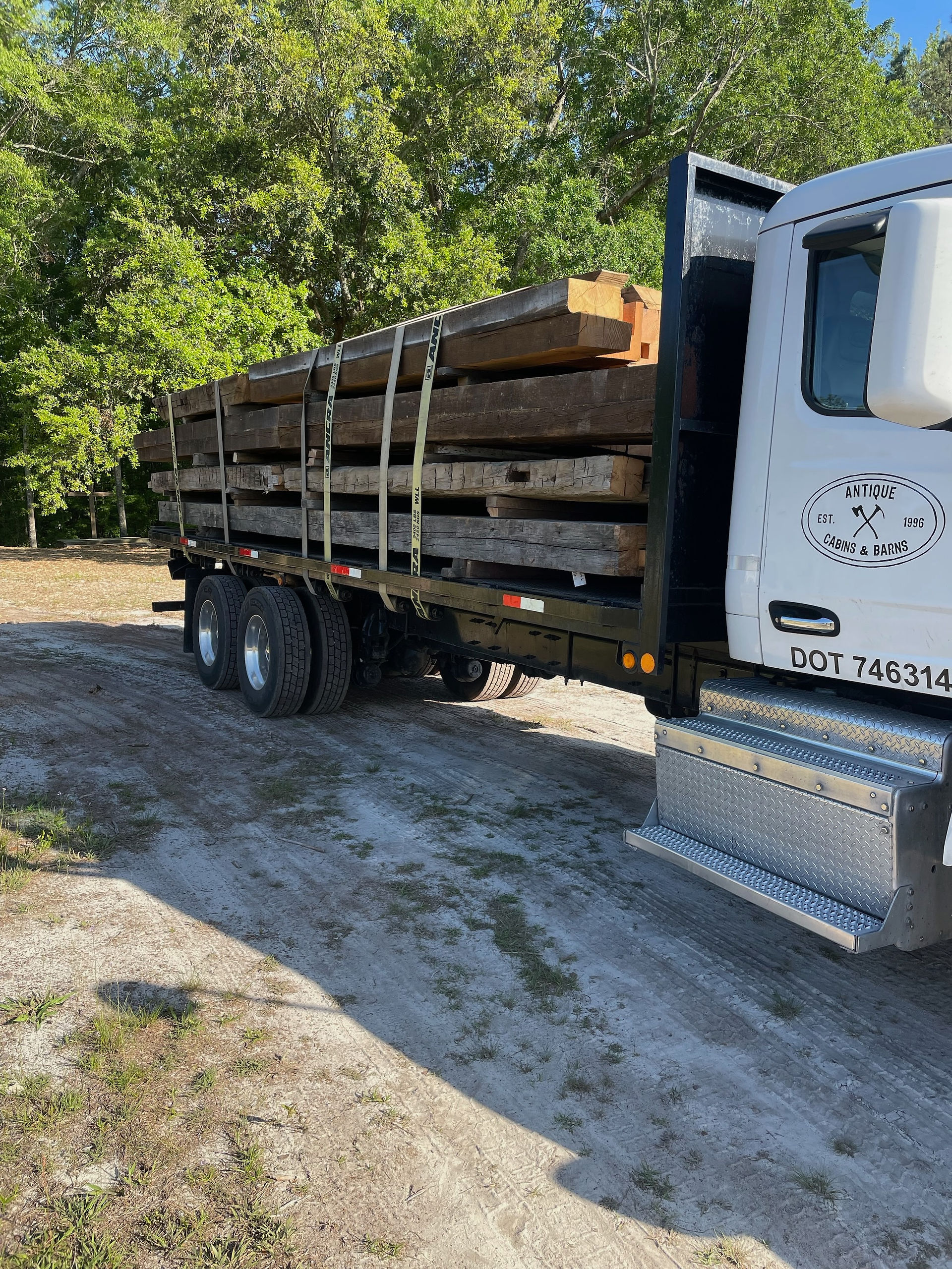 All the Timber!