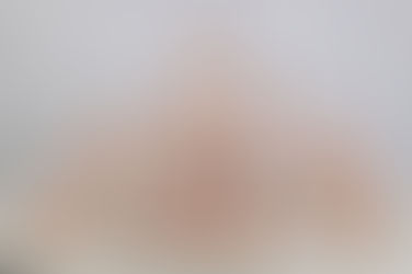 Showcase Highlight Videos!