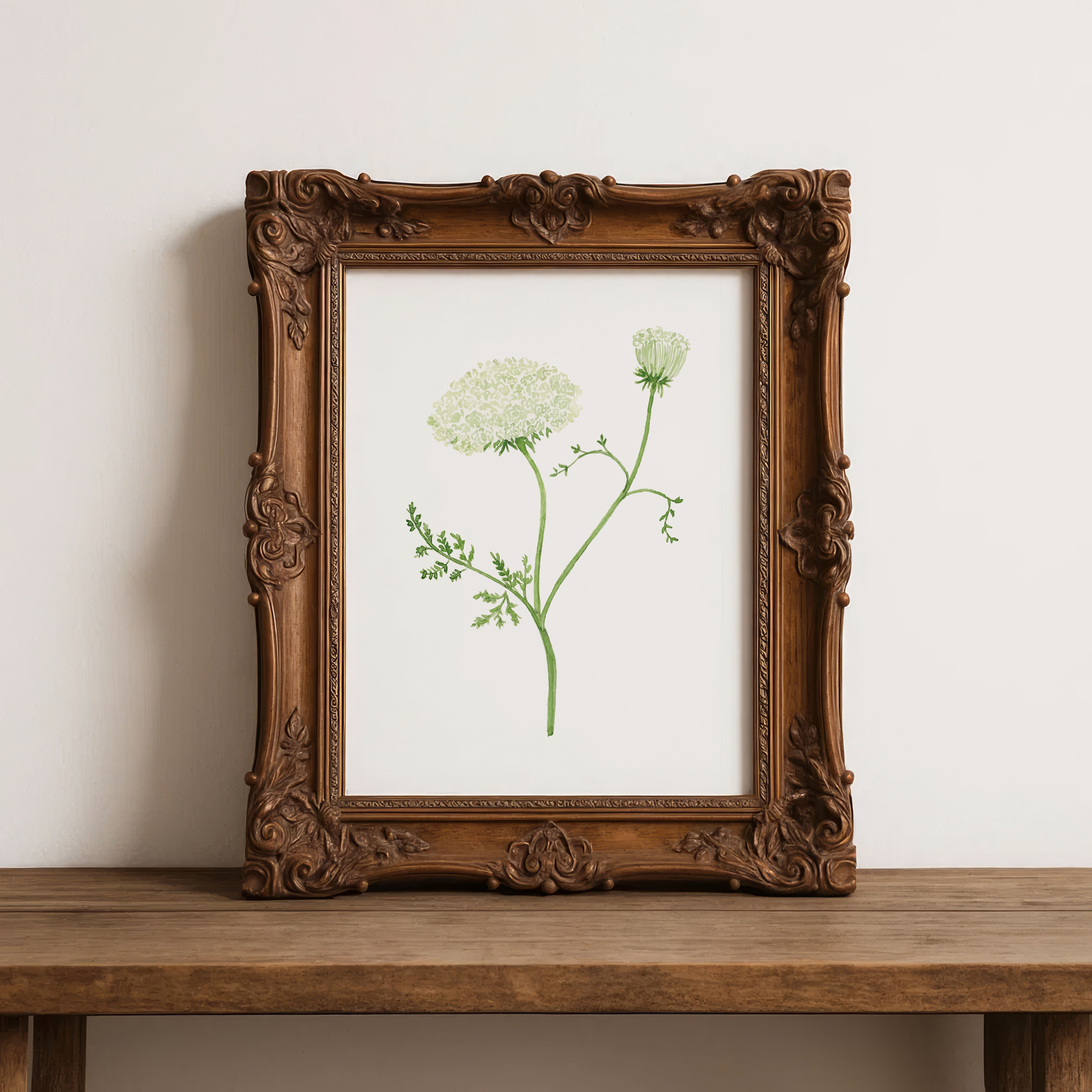 Queen Anne’s Lace Print