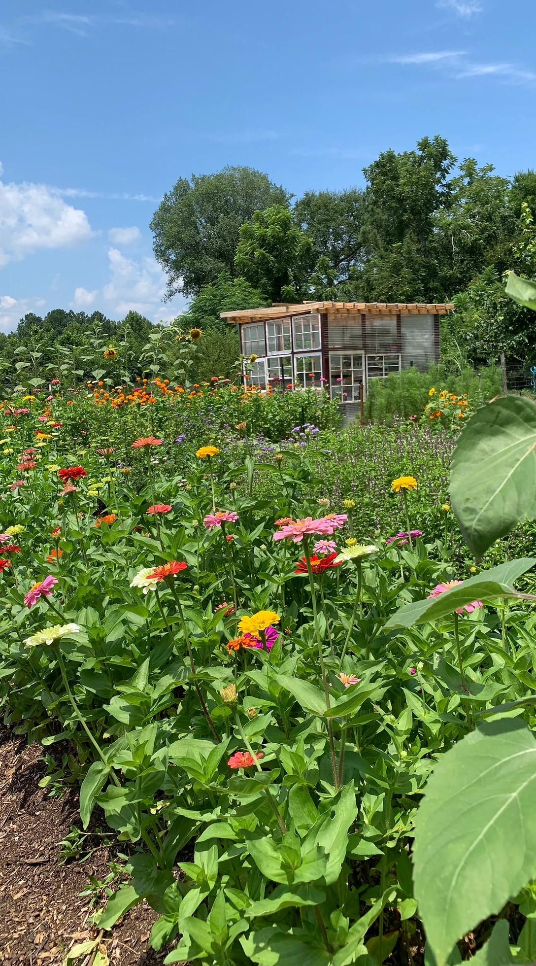 Cascade Farms
