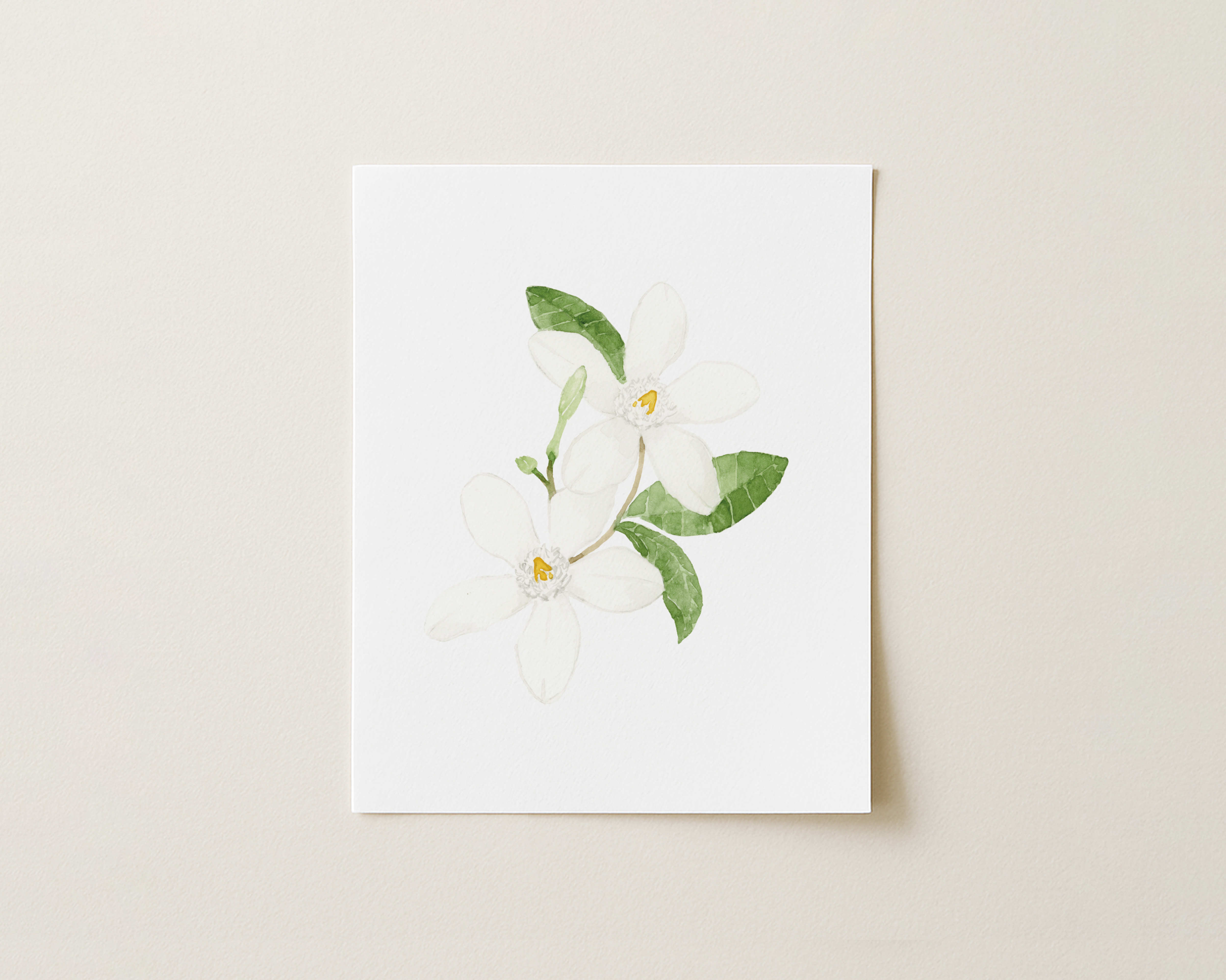 Jasmine Watercolor Art Print
