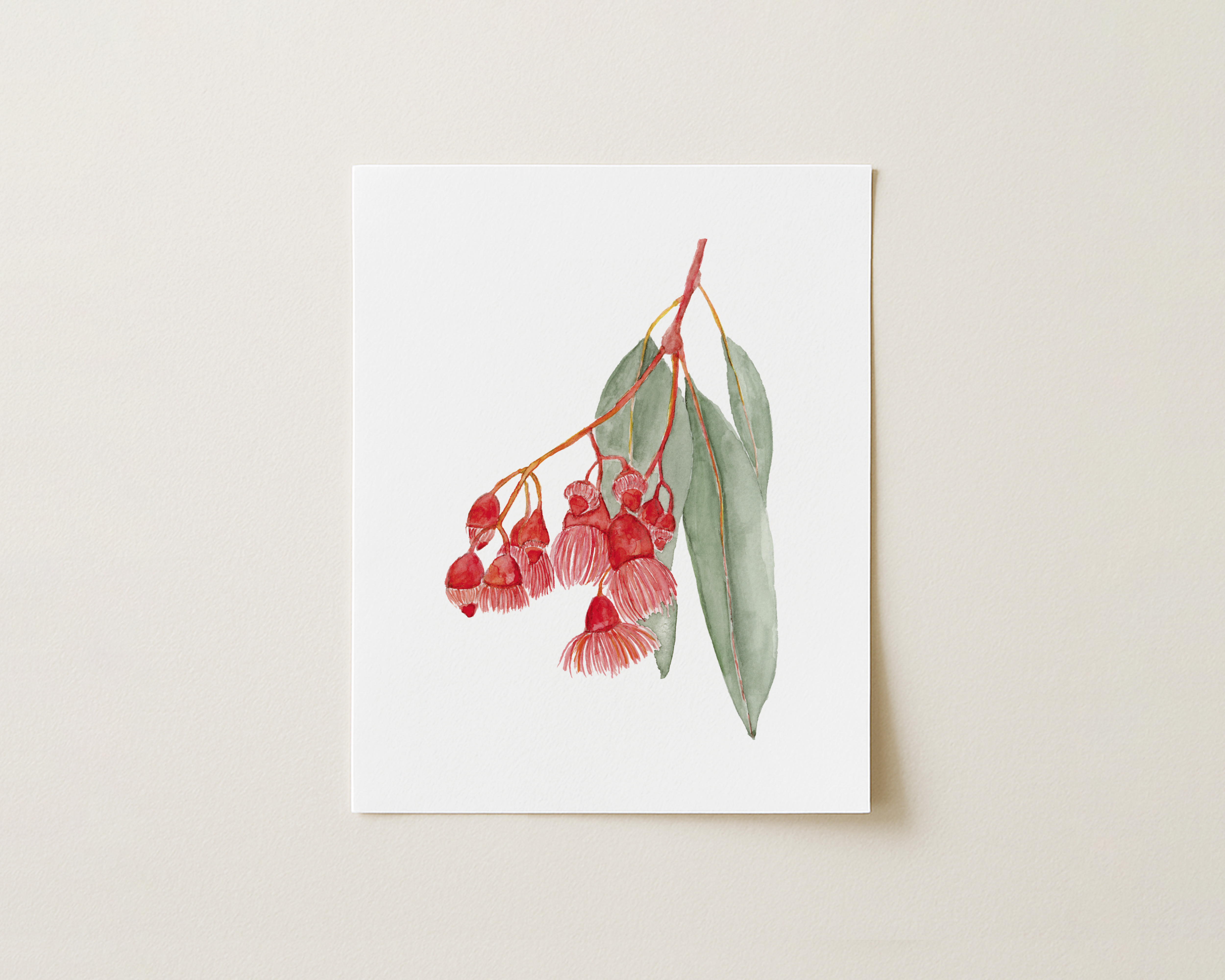 Eucalyptus Watercolor Art Print