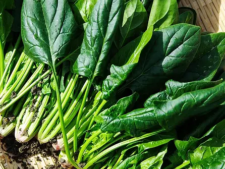 Spinach